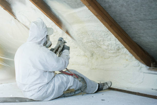 Types of Insulation We Offer in Grand Marais, MN