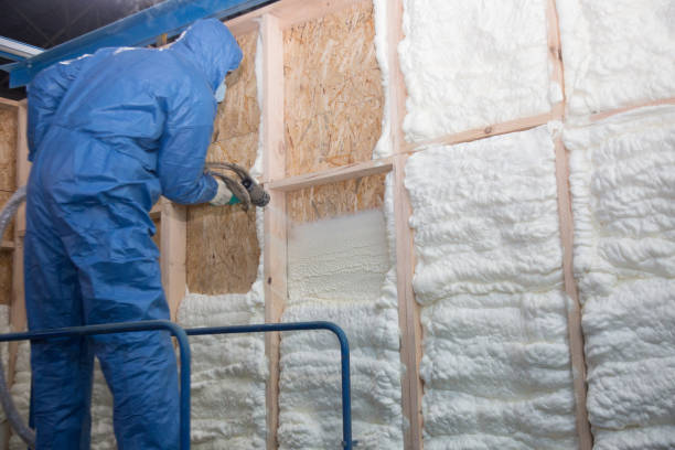 Trusted Grand Marais, MN Insulation Services Experts